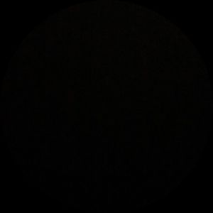 Meet your Posher, Nelly